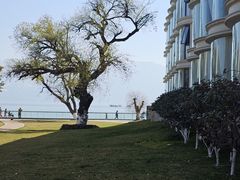 -西昌邛海宾馆