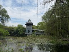 -金鸡湖桃花岛