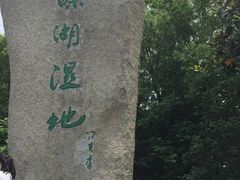 -溱湖国家湿地公园