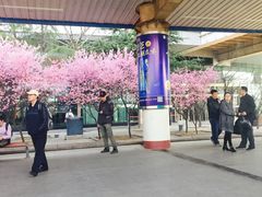 -潍坊站