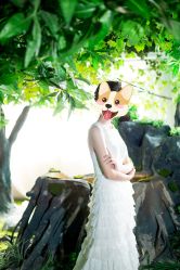 -完美新娘婚纱摄影