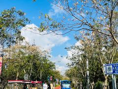 -前小桔亲子创意农场·草莓采摘·露营烧烤