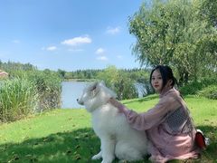 -上海长兴岛郊野公园