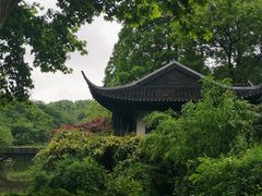 -红梅公园