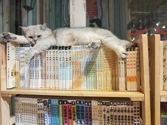 -小时光咖啡馆(开森度假森林店)