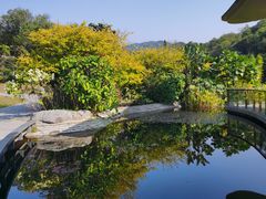 -云溪植物园