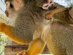 -水上乐园·欢乐世界