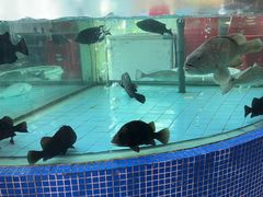 -春满人间酒楼(园岭中路店)