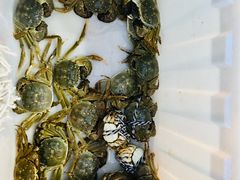 -乡乐园蟹庄·阳澄湖农家乐
