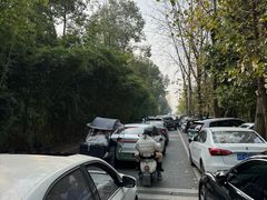 -白鹭湾湿地公园