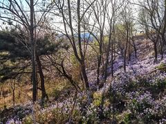 -蟠龙山长城景区