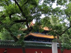 -北京国子监胡同