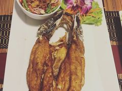 -Daddy Nimman Chiang Mai