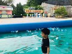 -东方熊牧场