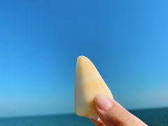 -北戴河东海水浴场
