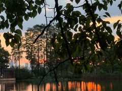 -东湖落雁景区