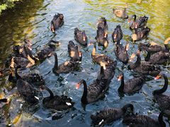 -长白岛森林公园