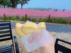 -汉长安城未央宫国家考古遗址公园