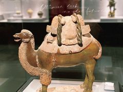 -洛阳博物馆