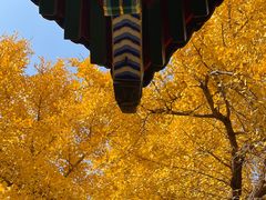 -承恩寺
