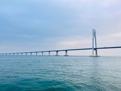 -招商蛇口邮轮母港(观光客运)