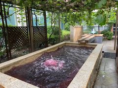 -春晖园度假酒店温泉