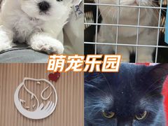 -联合动物医院(光谷诊疗中心)