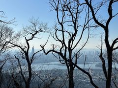 -紫金山山顶公园