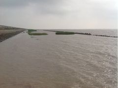 upload_pic-南汇嘴观海公园