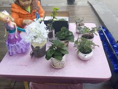 android_upload_pic-花言草语鲜花店(灵山路店)