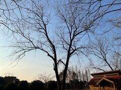 -上海怡沁园度假酒店