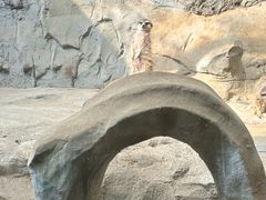 -常州淹城野生动物世界