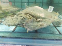 -天怡·鱼工厂(梅溪湖店)