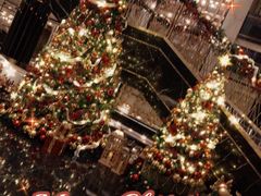 -上海苏宁宝丽嘉酒店·Cafe Bellagio西餐厅