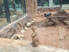 -大连森林动物园