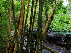 -海口火山口国家地质公园