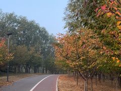 -马家湾湿地公园