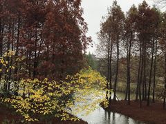 -梁鸿国家湿地公园