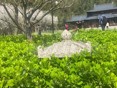 -兰亭风景区