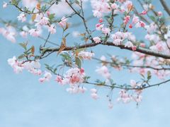 -森林公园(尖草坪区)