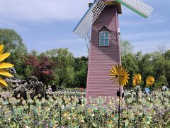 -祥源·阜阳生态乐园