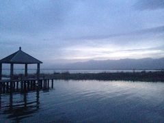 -哈素海