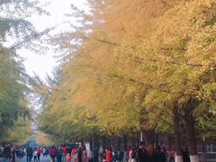 -辽宁大学(崇山校区)