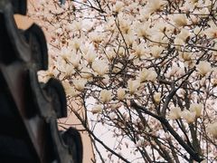 -龙华寺