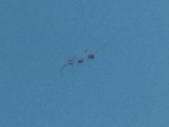 -辽沈战役纪念馆