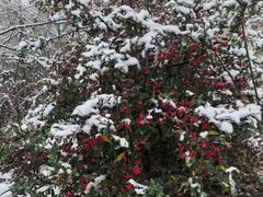 -华蓥山天意谷景区