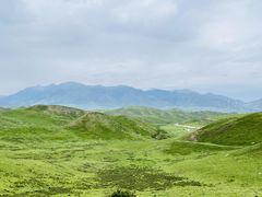 -祁连山草原
