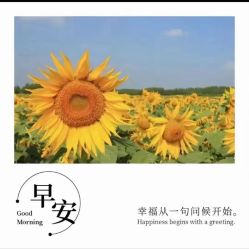 -Oasis Beauty水磨坊科技美肤中心