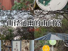 -佛山华盖山公园
