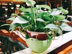 -城南往事·鲁菜济南菜(长清园博园恒大绿洲店)